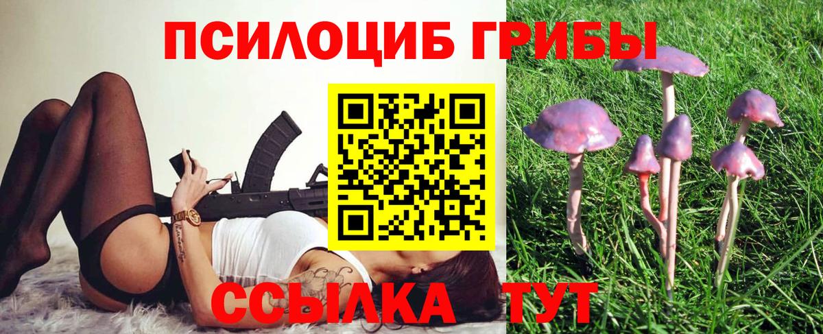 Галлюциногенные грибы прущие грибы Мытищи