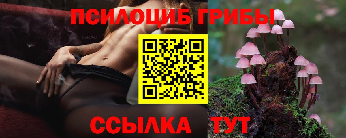 Псилоцибиновые грибы GOLDEN TEACHER  Вход с VPN  Мытищи 