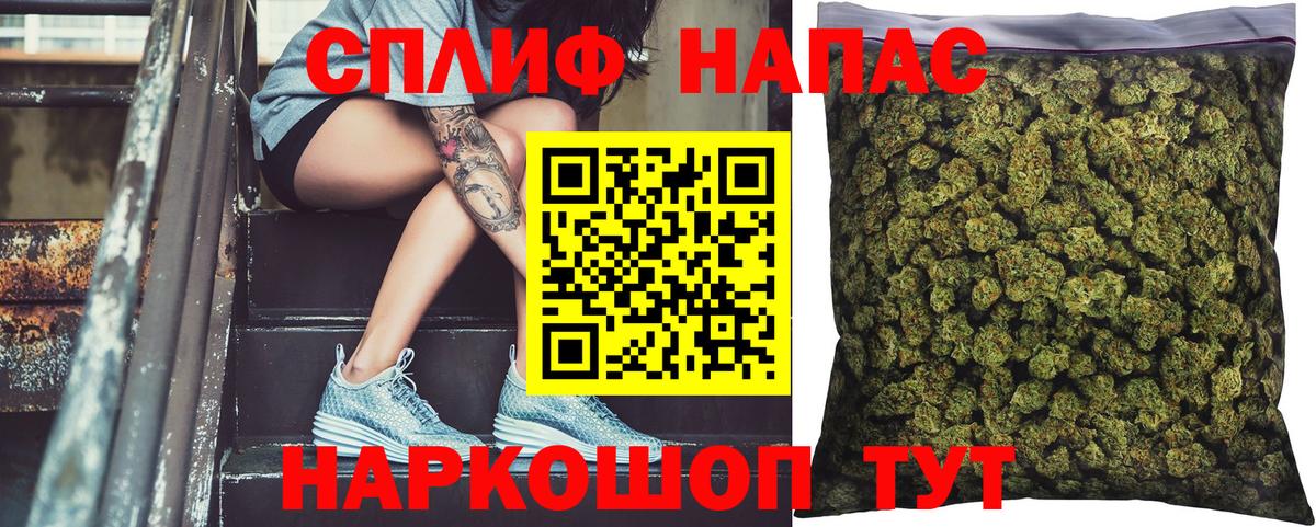 Каннабис план Мытищи